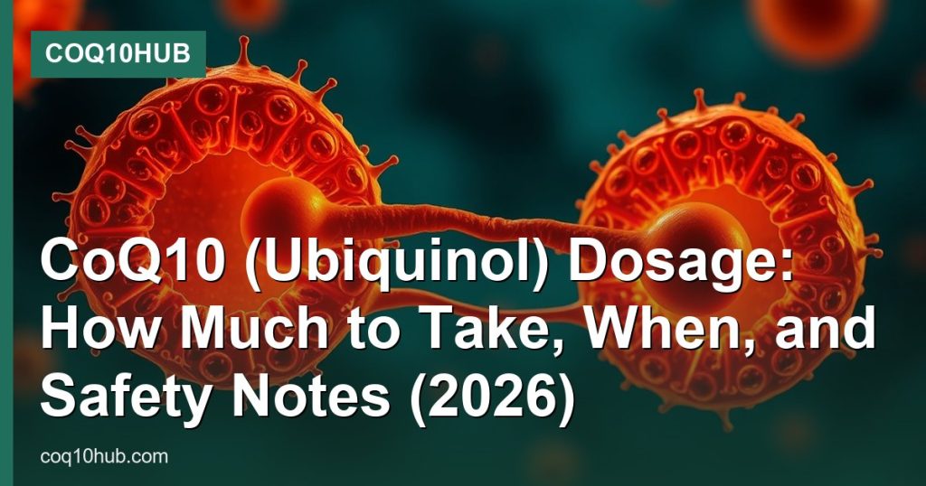 CoQ10 (Ubiquinol) Dosage: How Much to Take, When, and Safety Notes (2026) - CoQ10Hub