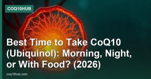CoQ10 With Food: Fat, Meals, and Dose Splitting (2026)
