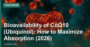 Bioavailability of CoQ10 (Ubiquinol): How to Maximize Absorption (2026)